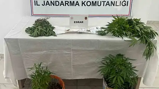 Uyuşturucu operasyonunda 7 şüpheli yakalandı