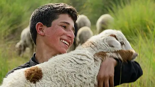 Hayvansal üretime büyük destek: 2025'te destekler katlanıyor