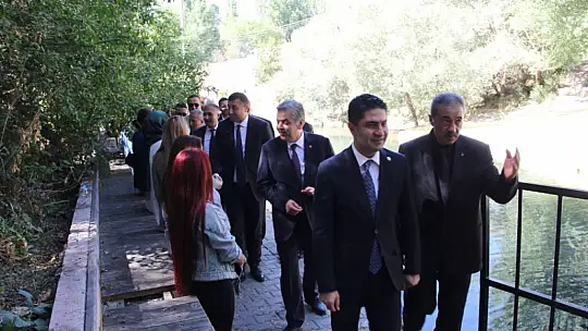 Özdemir: 'Türkiye, kendi siyasi istikrarını sağlıyor'