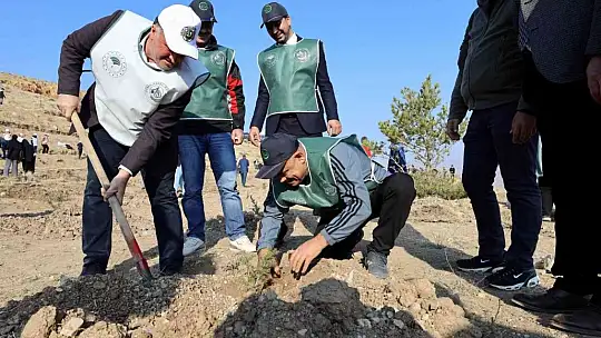Yahyalı'da Fidanlar toprakla buluştu