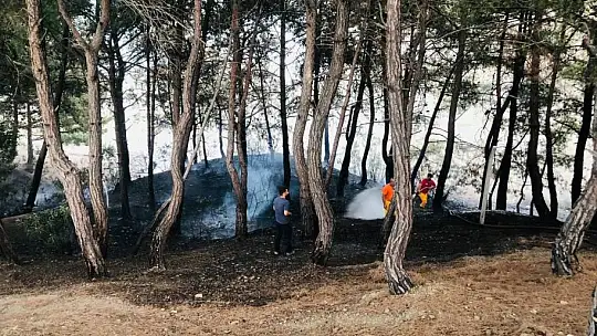Yangın söndürüldü, vatandaş piknikçilere tepki gösterdi