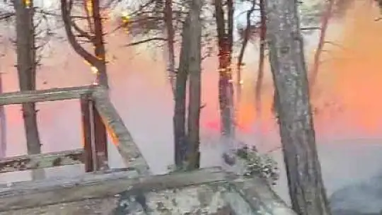 Yangın söndürüldü, vatandaş piknikçilere tepki gösterdi