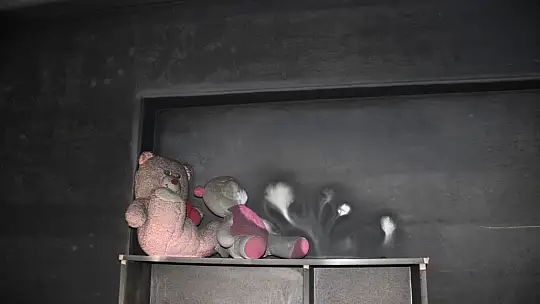 Yangında küle dönen evde 3 yaşındaki bebek yanarak can verdi