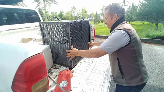 Yaralı kerkenez tedavi altına alındı