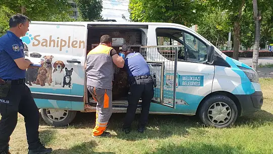 Yaralı kurbanlığa polis yardımı