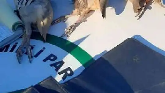 Yasadışı avlananlara 11 bin TL para cezası