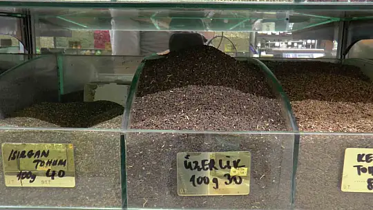 Nezleye en büyük kalkan Zencefil!