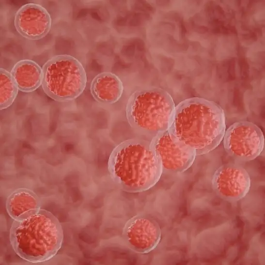 Kemik iliği naklinde test ücretlerine SGK güvencesi