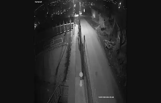 'Bağ evi fareleri' yakalandı!