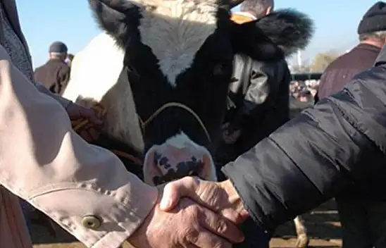 2024 Kurbanlık Fiyatları Belli Oldu!