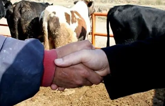 2024 Zamlı Kurbanlık Fiyatları Açıklandı