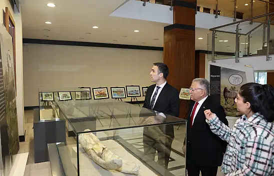 7,5 Milyon Yıllık Fosil Sergisine Büyük İlgi!