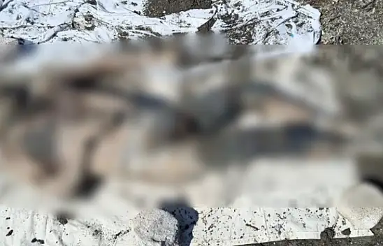 Adana'daki olay aydınlatıldı!