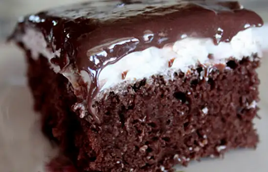 Ağlayan Kek Tarifi – Pratik Pasta Tarifi – Türk Mutfağı