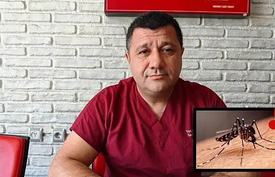 Akgün Ergül çoğalan sineklere çözümü böyle anlattı!