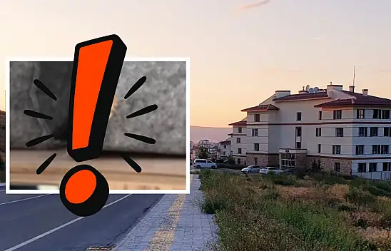 Akrep, yılan, sarıkız, kertenkele, çekirge, kırkayak… Kayseri'nin bu bölgesinde ne ararsan var!