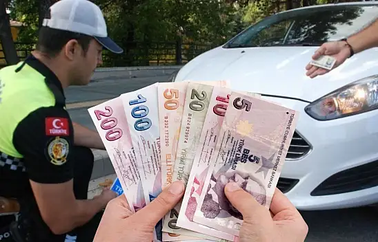 Araç sahiplerine yeni plaka detayı! Resmî Gazete'de yayımlandı: O durumda para ödenmeyecek