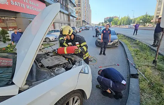 Aracında saklanan yılan evinin önünde ortaya çıktı
