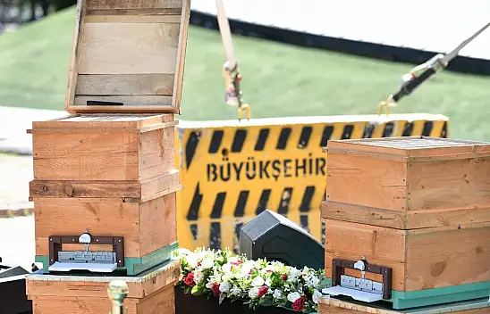 Arıcılığa 7 Milyon TL'lik Destek