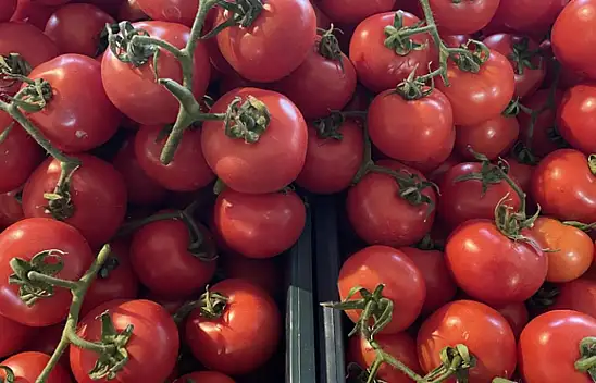 Ata tohumları fiyatları katlayabilir!