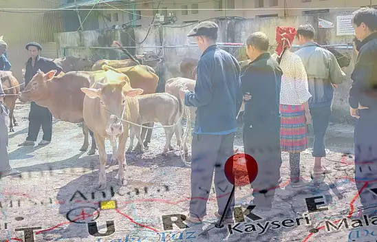 Bakan açıkladı: 8 ilde hayvan pazarları açılıyor – Kayseri'de durum nasıl?