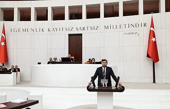 Baki Ersoy'dan ehliyet affı talebi!