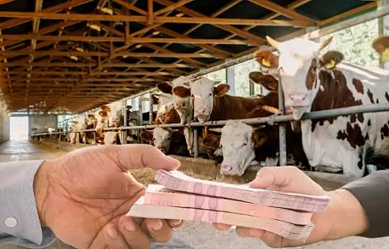 Banka kredisiyle kurban kesilir mi? İşte merak edilen sorunun cevabı...