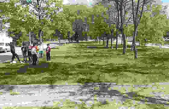 Sivas'ta Başıboş Köpekler 13 Yaşındaki Çocuğa Saldırdı!