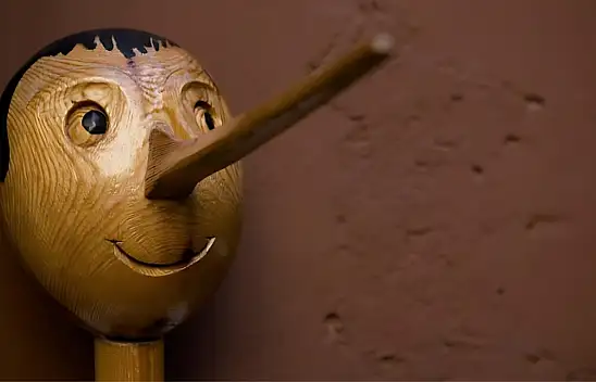 Bir İnsan Neden Yalan Söyler?