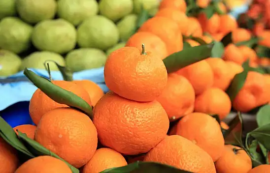 Bu çayı içen bir daha öksürmüyor!