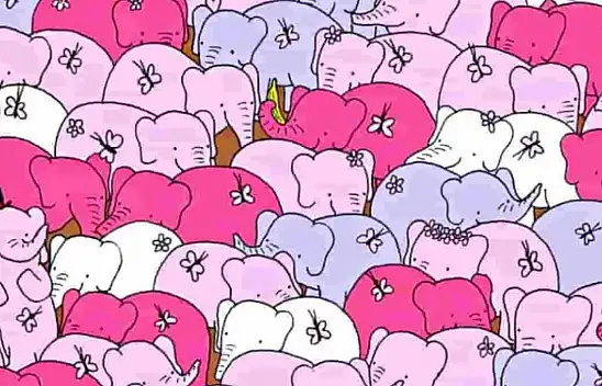 Bu testi, ilk bakışta sadece dahiler çözebiliyor!