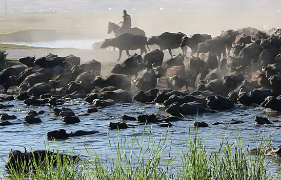 Burası Afrika değil Kayseri!