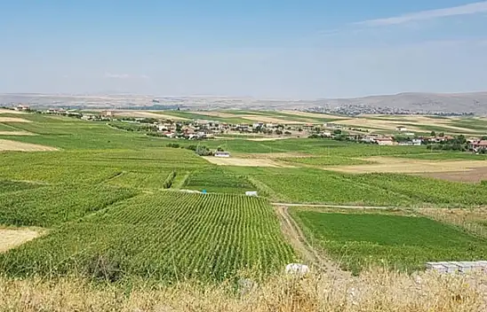 Büyükşehir Arsa Satıyor!