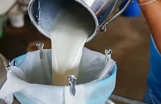 Çiğ süte zam mı geldi? İşte fiyatı...