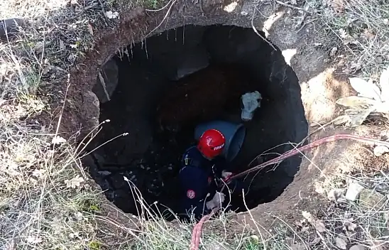 Çukura düşen buzağı bakın nasıl kurtarıldı?