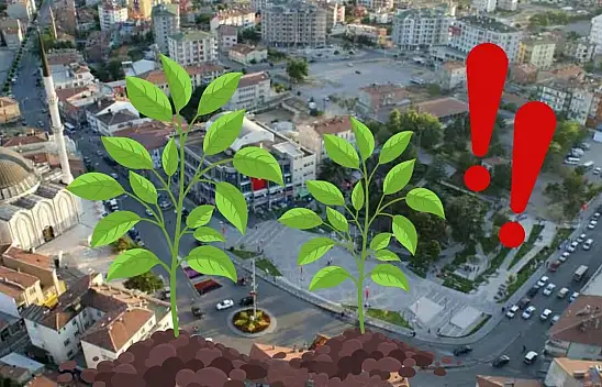 Develi'de bahçeler kıpır kıpır: O fideler meyveye durdu!