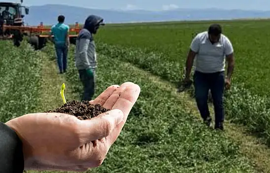 Develi'de mucize: Güçlü olmaz denileni başardı!