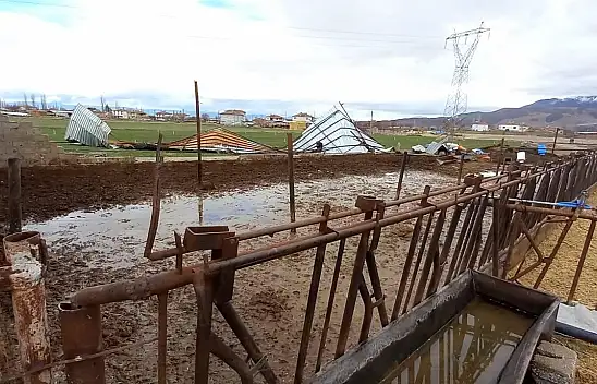 Develi'de şiddetli rüzgar ahırın çatısını uçurdu