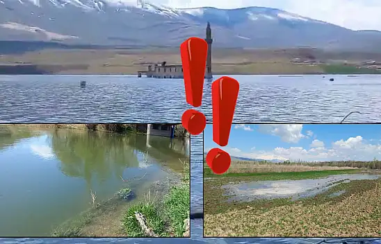 Develi'de tarım arazileri su altında: Vatandaş ne yapacak?