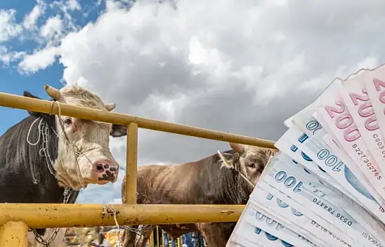 Diyanet İşleri Başkanlığı vekaletle kurban kesim ücretlerini açıkladı: İşte rakamlar…
