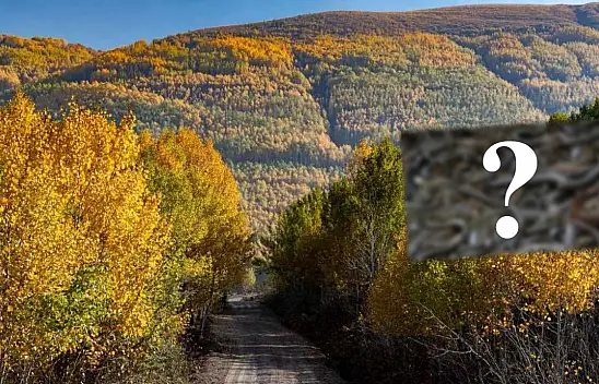 Doğanın sinsi hareketi - Teker teker uyanıp büyük akına geçecekler!