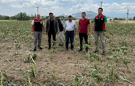 Dolu Kayseri'de Tarlaları Tarumar Etti! – Zarar Gören Mahalleler Açıklandı