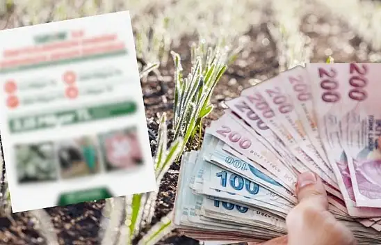 Doluya, zirai dona meydan okuyan Kayseri: TARSİM yaraları sardı!