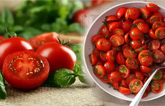 Domates fidesi ne zaman ekilir?