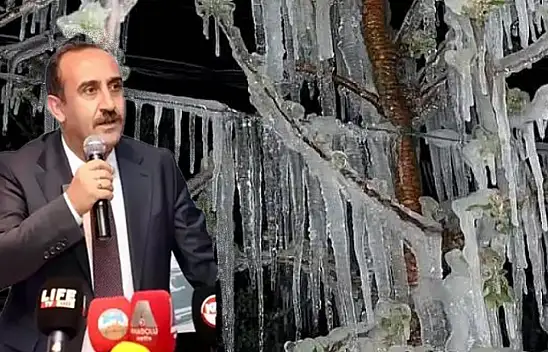 Don olayında İncesu'da meyve ağaçlarının yüzde 90'ı zarar gördü!