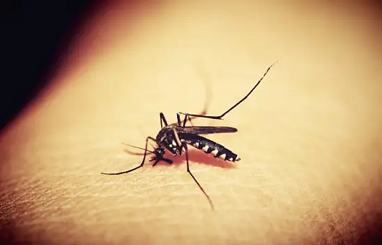 DSÖ'den acil uyarı - 4 milyar insan risk altında!