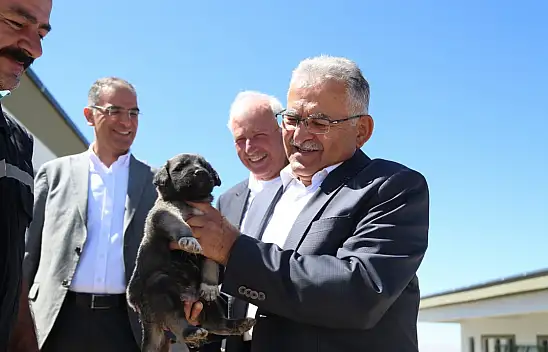 Dünya Sokak Hayvanları Günü'nde Başkan Büyükkılıç'tan Müjde Geldi!