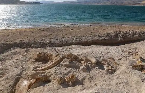 Dünyada bir ilk – Kayseri tarihe geçti!