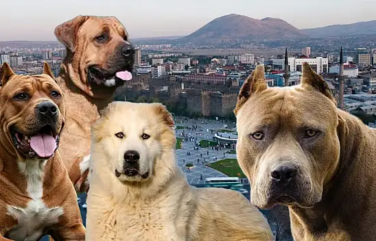 Dünyanın en güçlüsü Kayseri'nin yanı başında!