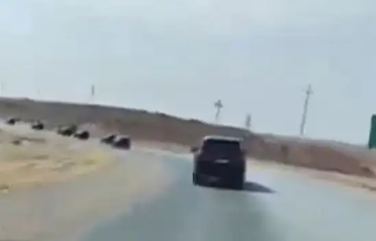 Dünyanın gözü Türkiye'de – PKK silah bıraktı!